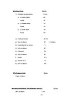 Practice Reports 'Florbola trenera mācību prakses pārskats', 22.