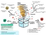 Presentations 'Infografiks - gāzu izmantošana', 1.