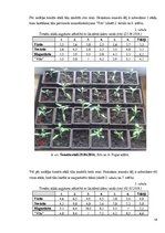 Research Papers 'Laistāmā sastāva ietekme uz tomātu augšanu', 14.