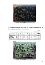 Research Papers 'Laistāmā sastāva ietekme uz tomātu augšanu', 15.