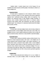 Research Papers 'Ugunsdrošības signalizācijas sistēmas uzņēmuma attīstības stratēģija Latgalē', 16.