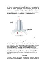 Summaries, Notes 'Optika', 3.