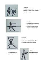 Research Papers 'Vingrojumi ar nūju muguras muskuļiem', 6.