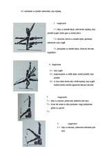 Research Papers 'Vingrojumi ar nūju muguras muskuļiem', 7.