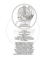 E-book 'Cilvēka anatomija: galvaskauss', 1.