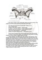E-book 'Cilvēka anatomija: galvaskauss', 4.