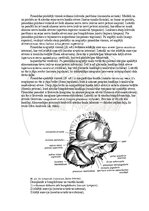 E-book 'Cilvēka anatomija: galvaskauss', 8.