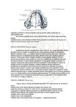 E-book 'Cilvēka anatomija: galvaskauss', 22.