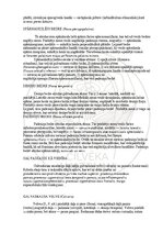 E-book 'Cilvēka anatomija: galvaskauss', 25.
