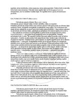 E-book 'Cilvēka anatomija: galvaskauss', 26.