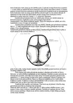 E-book 'Cilvēka anatomija: galvaskauss', 28.