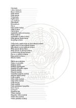 E-book 'Cilvēka anatomija: galvaskauss', 31.