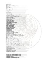 E-book 'Cilvēka anatomija: galvaskauss', 32.
