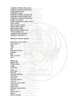 E-book 'Cilvēka anatomija: galvaskauss', 33.