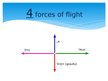 Presentations 'Principle of Flight', 3.