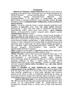 Summaries, Notes 'Taisnspārņi', 3.