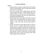 Research Papers 'Marihuānas legalizēšana - ieguvumi un zaudējumi', 15.