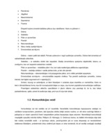 Research Papers 'Komunikācija ar klientiem kā uzņēmuma SIA "Dimdiņi" sabiedrisko attiecību sastāv', 5.