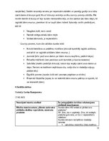 Practice Reports 'Vērošanās prakses atskaite sākumskolā, MT 3.klase', 15.