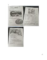 Practice Reports 'Vērošanās prakses atskaite sākumskolā, MT 3.klase', 27.