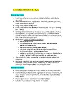 Summaries, Notes 'Pasaules mākslas vēsture', 10.