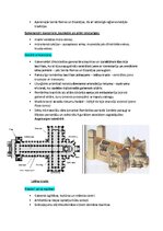 Summaries, Notes 'Pasaules mākslas vēsture', 14.