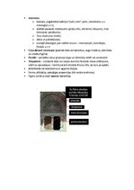 Summaries, Notes 'Pasaules mākslas vēsture', 19.