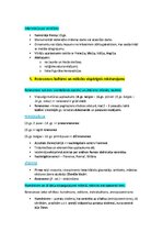 Summaries, Notes 'Pasaules mākslas vēsture', 32.