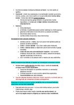 Summaries, Notes 'Pasaules mākslas vēsture', 33.