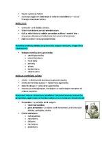 Summaries, Notes 'Pasaules mākslas vēsture', 34.