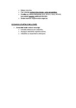 Summaries, Notes 'Pasaules mākslas vēsture', 78.