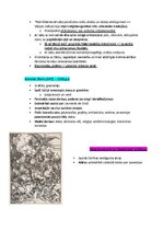 Summaries, Notes 'Pasaules mākslas vēsture', 88.