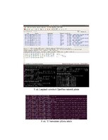 Summaries, Notes 'OpenFlow protokola darbības izpēte Mininet vidē', 5.