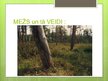 Presentations 'Meža ekosistēma', 2.
