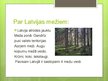 Presentations 'Meža ekosistēma', 3.