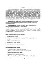 Research Papers 'Jauniešu valoda mūsdienu sabiedrībā, slengs un tā variācijas 21.gadsimtā', 5.