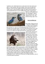 Research Papers 'Īpaši aizsargājamo putnu sugas Latvijā un to apdraudējumu cēloņi', 3.