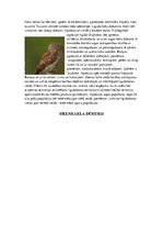 Research Papers 'Īpaši aizsargājamo putnu sugas Latvijā un to apdraudējumu cēloņi', 6.