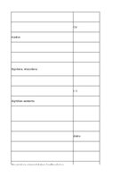 Summaries, Notes 'Information Technology - glossary', 30.