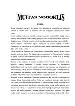 Essays 'Muitas nodoklis', 1.