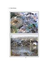 Research Papers 'Ecological Problems in Latvia and in the World', 27.