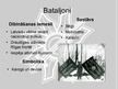 Presentations 'Latviešu strēlnieku bataljoni', 3.