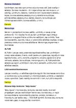 Presentations 'Imports un eksports', 4.