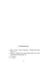 Research Papers 'Vērtspapīru klasifikācija un apgrozības etapi', 12.