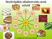 Presentations 'Olbaltumvielas pārtikas produktos', 3.