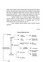 Research Papers 'Farmaceitiskā uzņēmuma iepirkuma procesa modeļa izstrāde', 15.