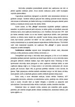 Term Papers 'Ziedu salona "Rēzija" mārketinga darbības analīze un pilnveide', 15.