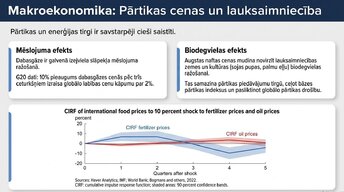 Presentations 'Enerģijas cenu ietekme uz ekonomiku', 8.