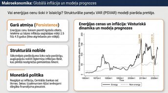 Presentations 'Enerģijas cenu ietekme uz ekonomiku', 10.