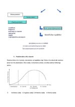 Summaries, Notes 'Mārketinga jautājumu atbildes', 3.